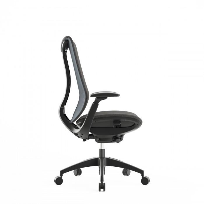 Cadeira de escritório ergonómica Diana Plus